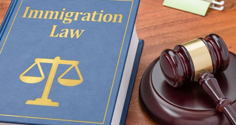 Immigration Law